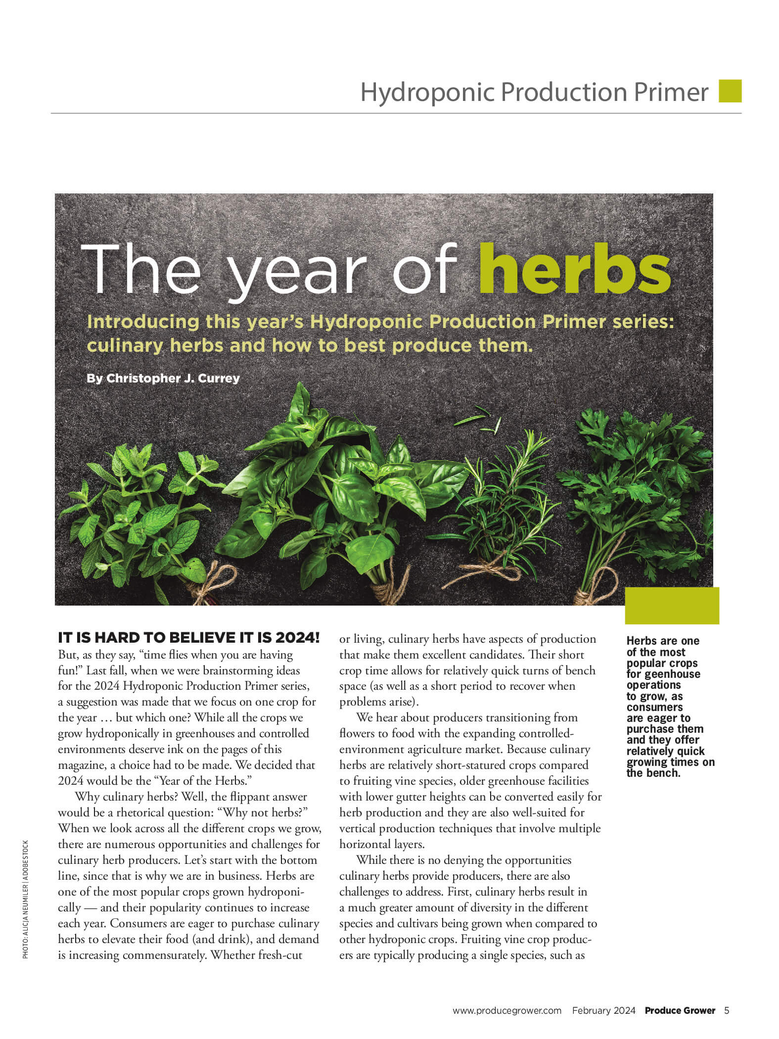 The Year Of Herbs